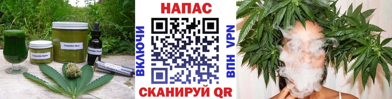Cannafood конопля Новокузнецк