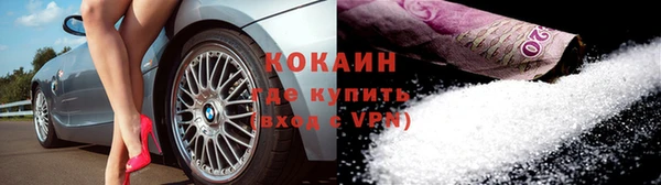 твердый Абаза
