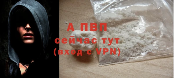 стаф Абинск