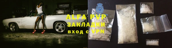 стаф Абинск