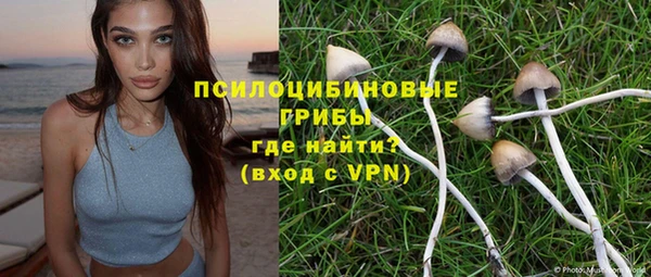 стаф Абинск