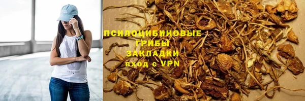 твердый Абаза