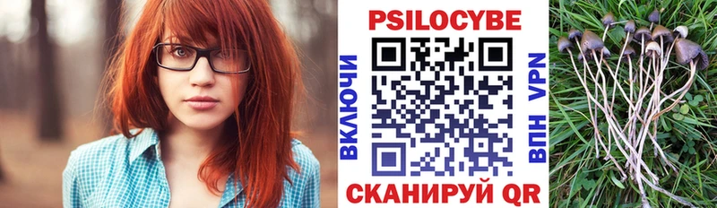 OMG рабочий сайт  это клад  Галлюциногенные грибы Magic Shrooms  Новокузнецк 
