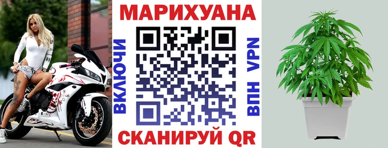 купить   Новокузнецк  Бошки марихуана THC 21% 